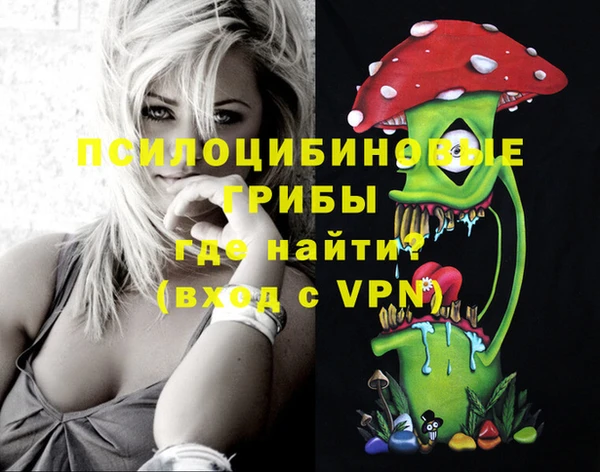 spice Лихославль