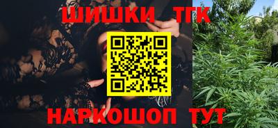 индика Славгород