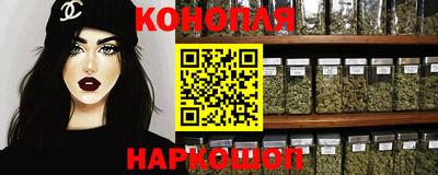 индика Славгород