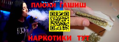 индика Славгород