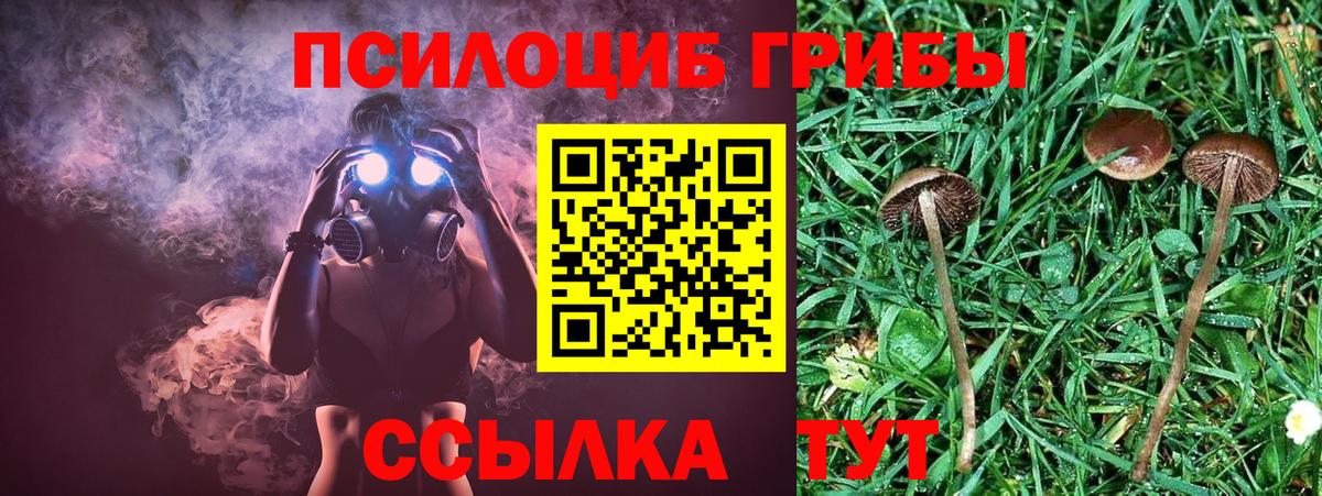 Псилоцибиновые грибы GOLDEN TEACHER Ульяновск