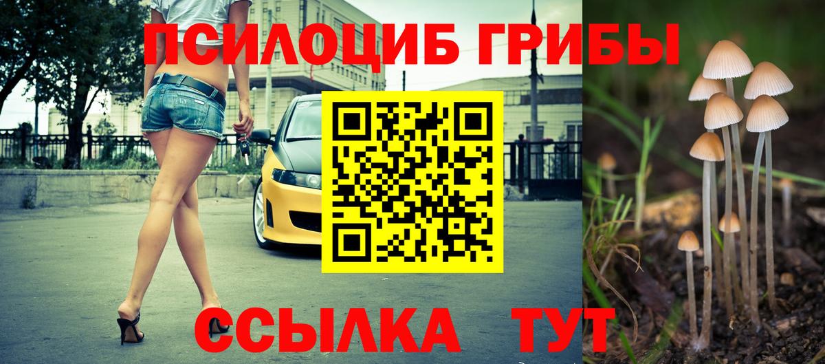 Галлюциногенные грибы Magic Shrooms  Псилоцибиновые грибы MAGIC MUSHROOMS  Ульяновск  Вход с VPN 